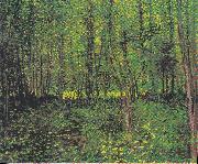 Vincent Van Gogh, Trees and underwood